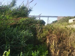 Estat d'un tram de la senda prop del Pont del Quisi
